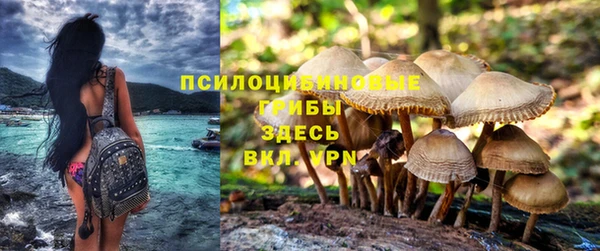 эйфоретик Покровск