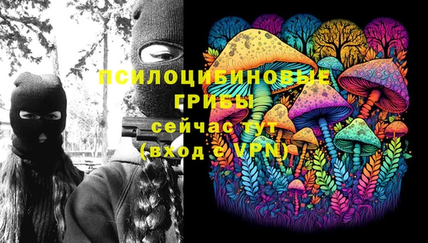 шишки Покров