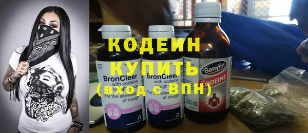 шишки Покров