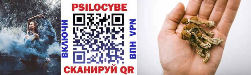 Галлюциногенные грибы Cubensis  Купить закладки  Сокол 